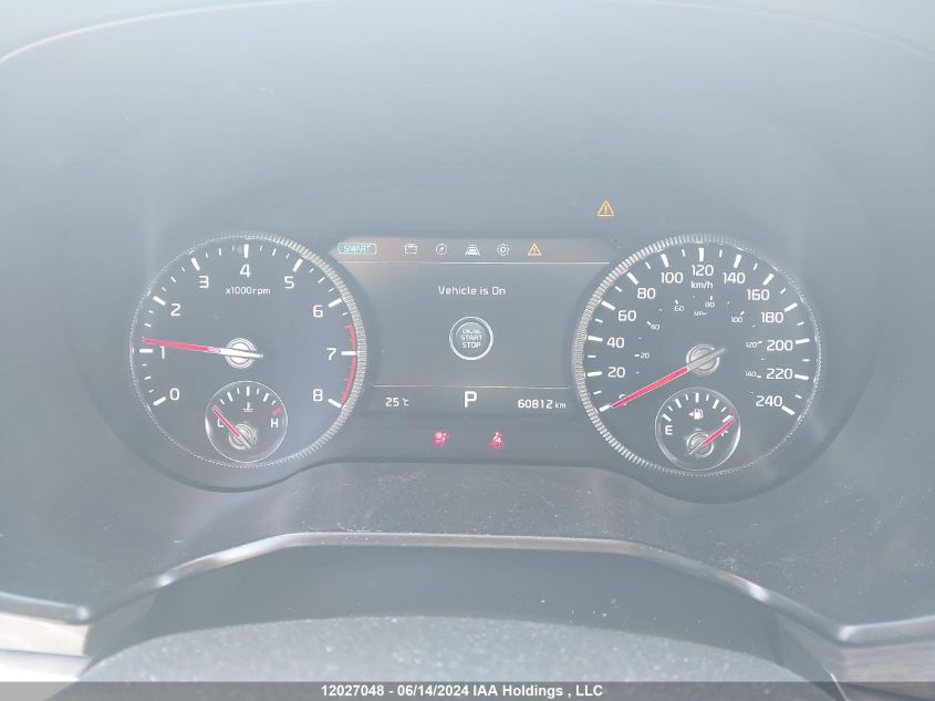 2022 Kia Telluride VIN: 5XYP5DHCXNG238526 Lot: 12027048