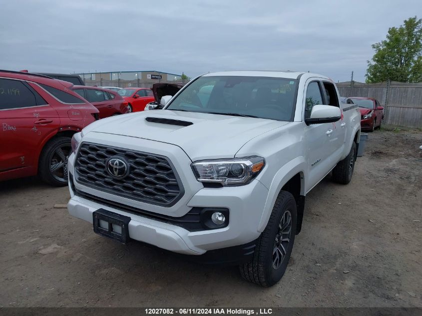 2022 Toyota Tacoma Double Cab/Sr5/Trd Sport/Trd Off Road VIN: 3TYDZ5BN3NT006543 Lot: 12027082