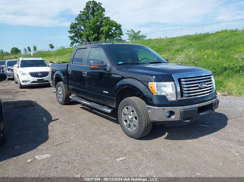 2011 Ford F150 Supercrew VIN: 1FTFW1ET0BFC00751 Lot: 12027309