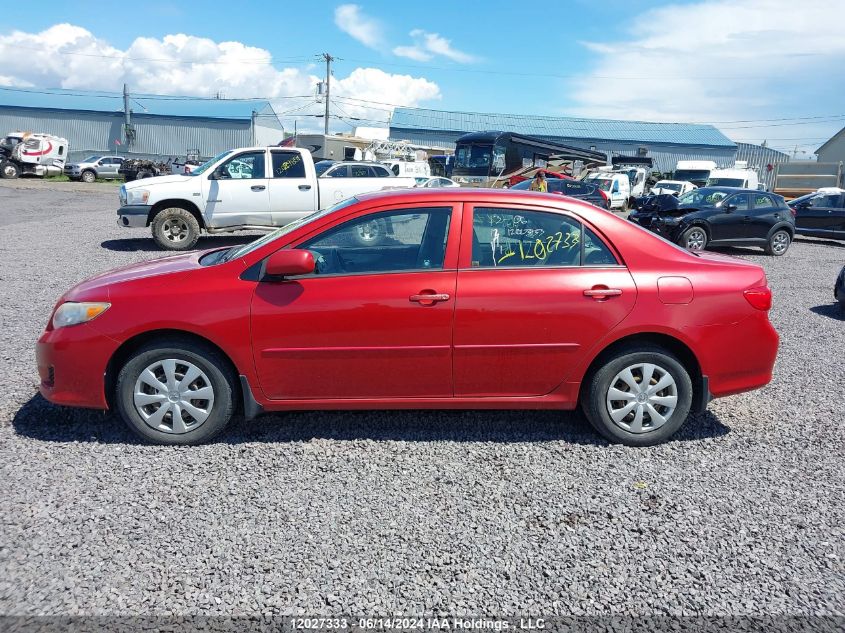 2010 Toyota Corolla VIN: 2T1BU4EE2AC429981 Lot: 12027333