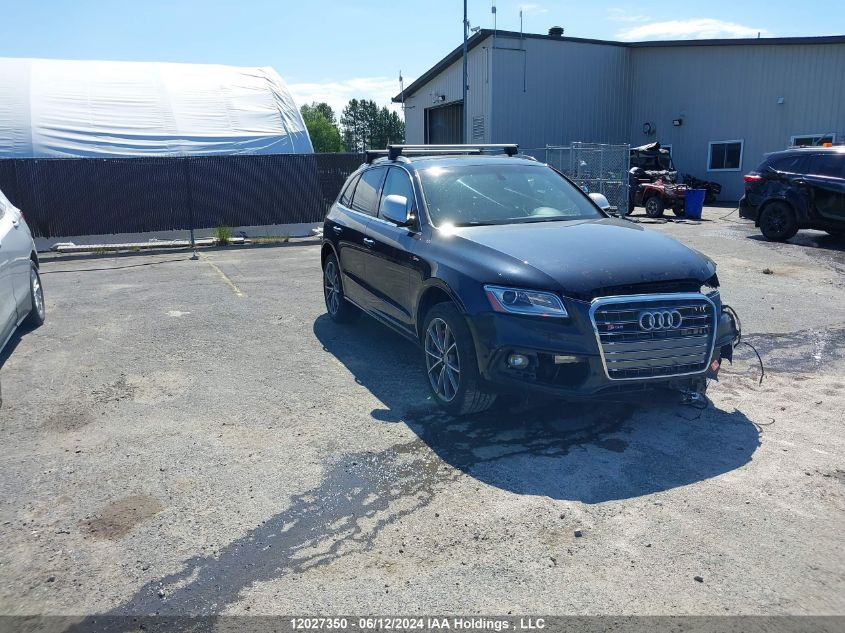 2017 Audi Sq5 VIN: WA1LCAFP5HA037608 Lot: 12027350