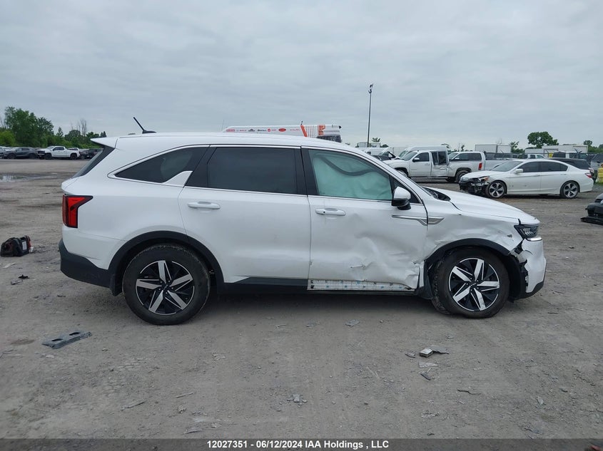 2023 Kia Sorento VIN: 5XYRGDLC1PG167259 Lot: 12027351