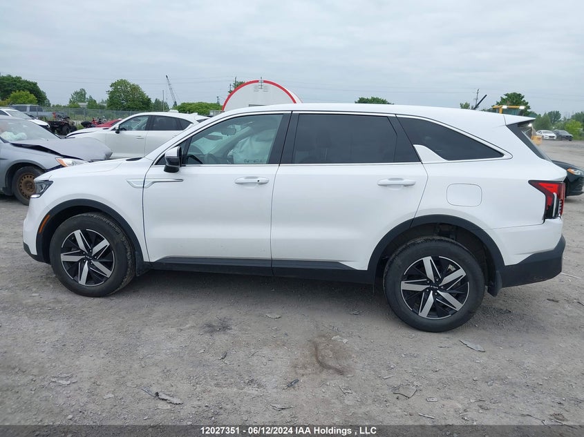 2023 Kia Sorento VIN: 5XYRGDLC1PG167259 Lot: 12027351