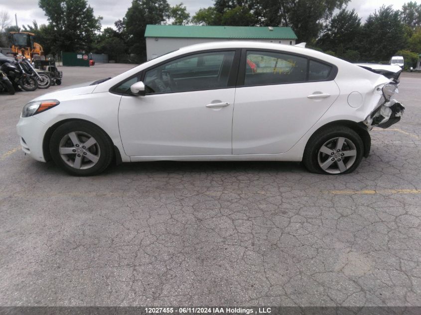2015 Kia Forte VIN: KNAFK4A67F5393678 Lot: 12027455