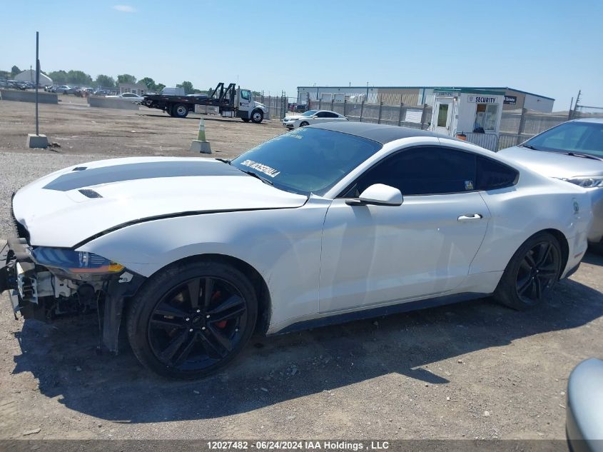 2019 Ford Mustang VIN: 1FA6P8TH8K5102888 Lot: 12027482