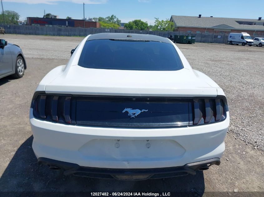 2019 Ford Mustang VIN: 1FA6P8TH8K5102888 Lot: 12027482