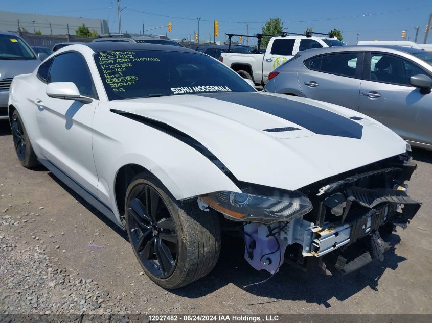 2019 Ford Mustang VIN: 1FA6P8TH8K5102888 Lot: 12027482