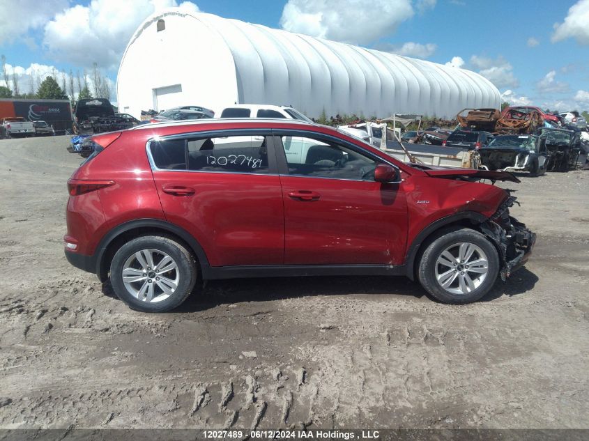 2019 Kia Sportage VIN: KNDPMCAC9K7582445 Lot: 12027489