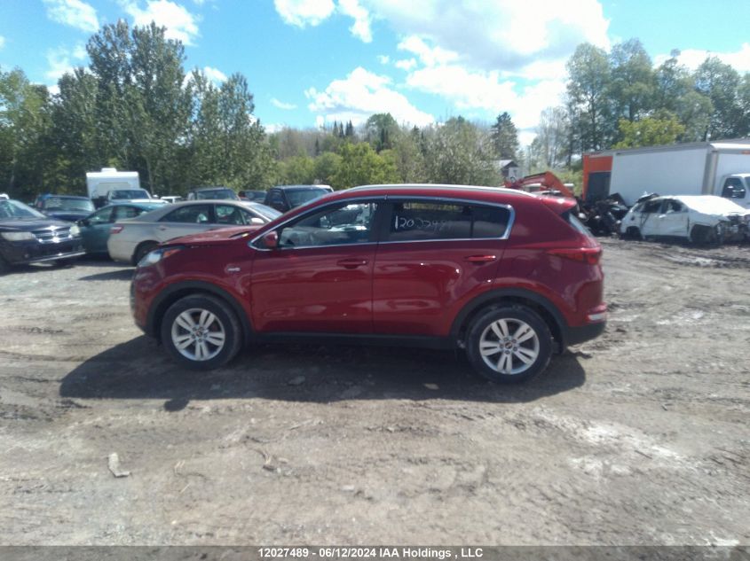 2019 Kia Sportage VIN: KNDPMCAC9K7582445 Lot: 12027489