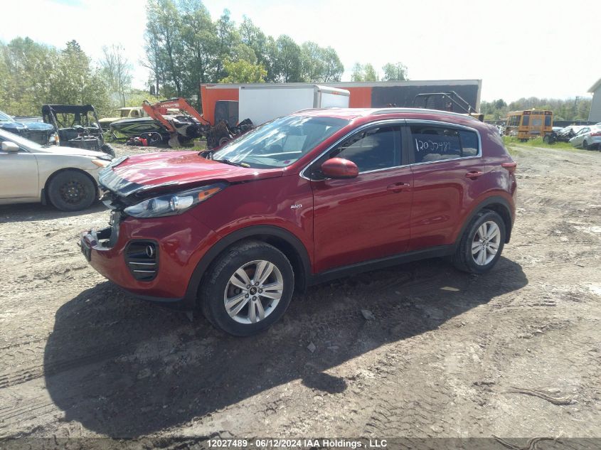 2019 Kia Sportage VIN: KNDPMCAC9K7582445 Lot: 12027489