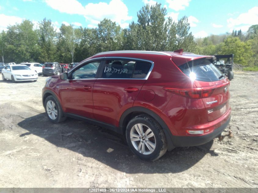 2019 Kia Sportage VIN: KNDPMCAC9K7582445 Lot: 12027489