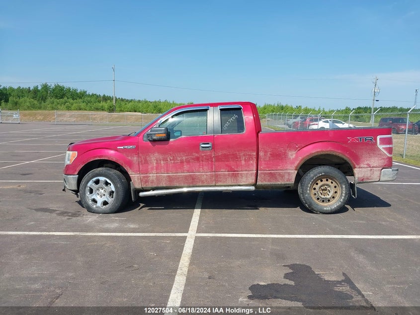 2010 Ford F150 Super Cab VIN: 1FTFX1EV0AFA19775 Lot: 12027504