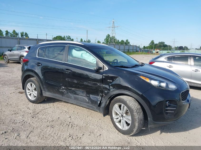 2017 Kia Sportage VIN: KNDPMCAC0H7133941 Lot: 12027641