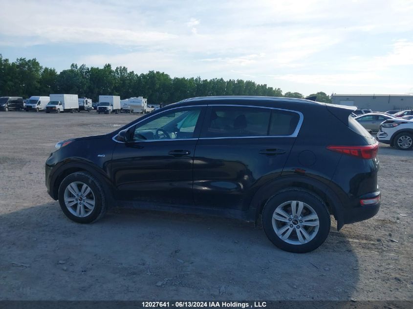 2017 Kia Sportage VIN: KNDPMCAC0H7133941 Lot: 12027641