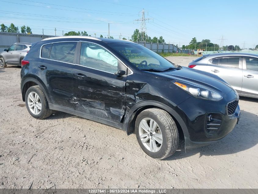 2017 Kia Sportage VIN: KNDPMCAC0H7133941 Lot: 12027641