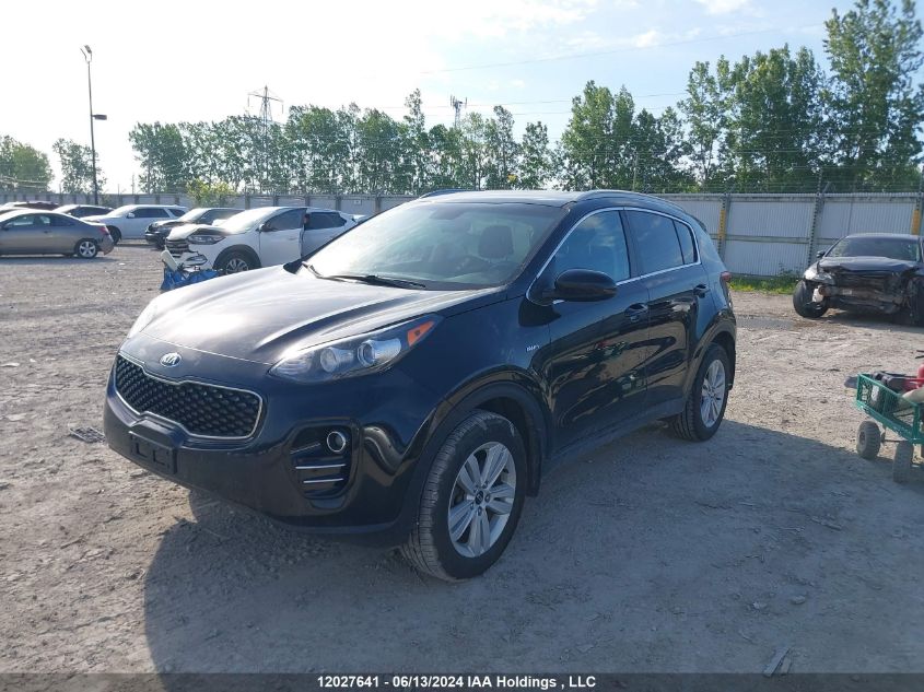 2017 Kia Sportage VIN: KNDPMCAC0H7133941 Lot: 12027641