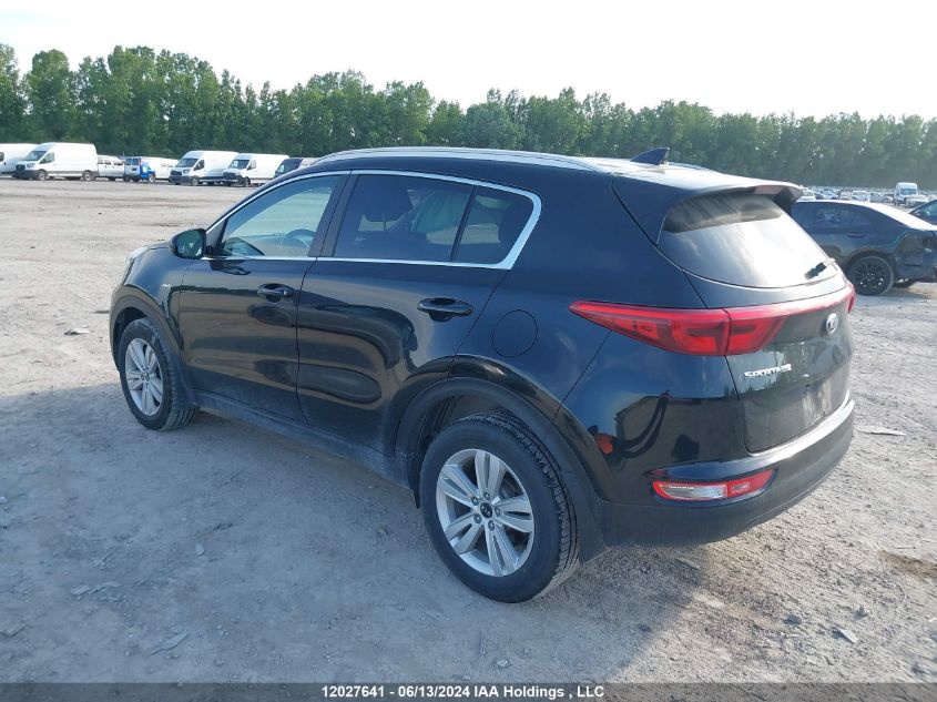 2017 Kia Sportage VIN: KNDPMCAC0H7133941 Lot: 12027641