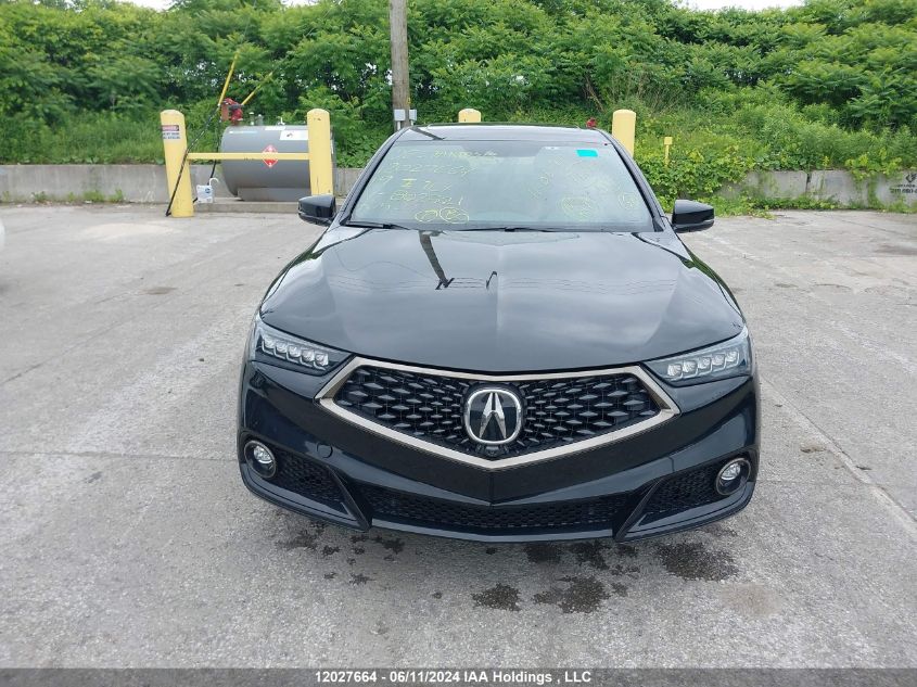 2019 Acura Tlx Advance VIN: 19UUB3F83KA802521 Lot: 12027664