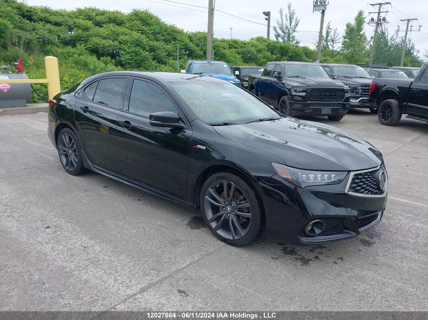 2019 Acura Tlx Advance VIN: 19UUB3F83KA802521 Lot: 12027664