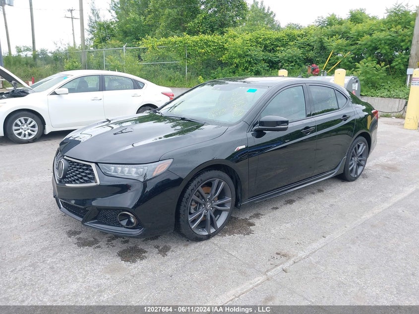 2019 Acura Tlx Advance VIN: 19UUB3F83KA802521 Lot: 12027664