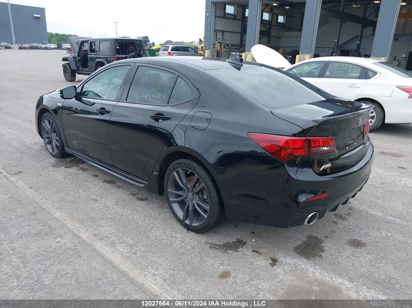 2019 Acura Tlx Advance VIN: 19UUB3F83KA802521 Lot: 12027664
