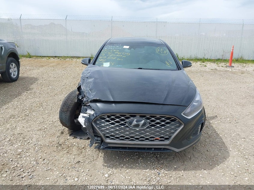 2019 Hyundai Sonata 2.0T Ultimate VIN: 5NPE34AB6KH756264 Lot: 12027699