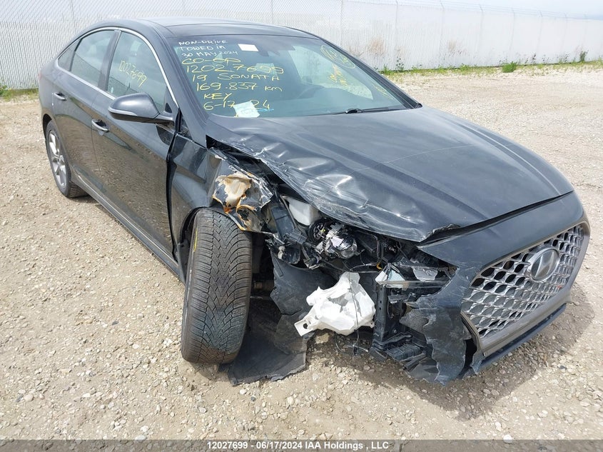 2019 Hyundai Sonata 2.0T Ultimate VIN: 5NPE34AB6KH756264 Lot: 12027699