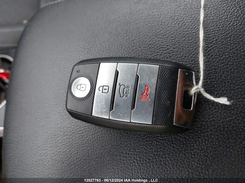 2019 Kia Sorento VIN: 5XYPGDA35KG539477 Lot: 12027763