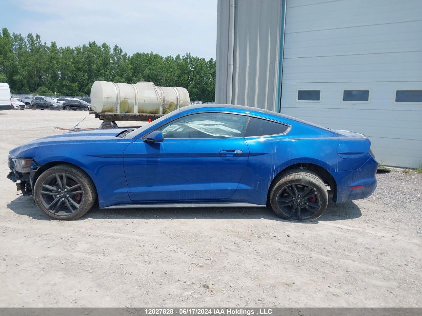 2017 Ford Mustang Ecoboost VIN: 1FA6P8TH0H5303662 Lot: 12027828