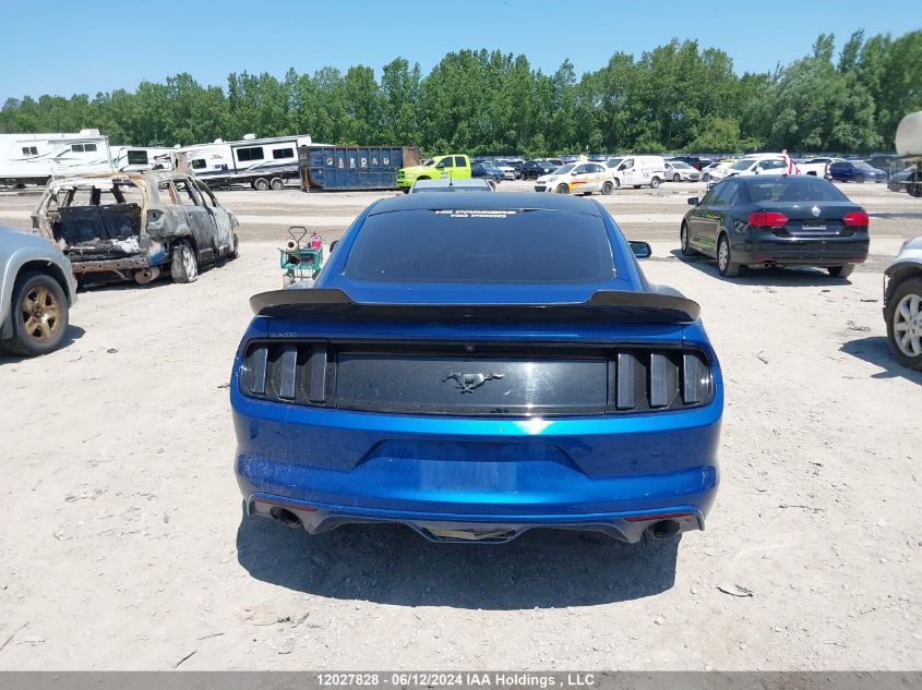 2017 Ford Mustang Ecoboost VIN: 1FA6P8TH0H5303662 Lot: 12027828