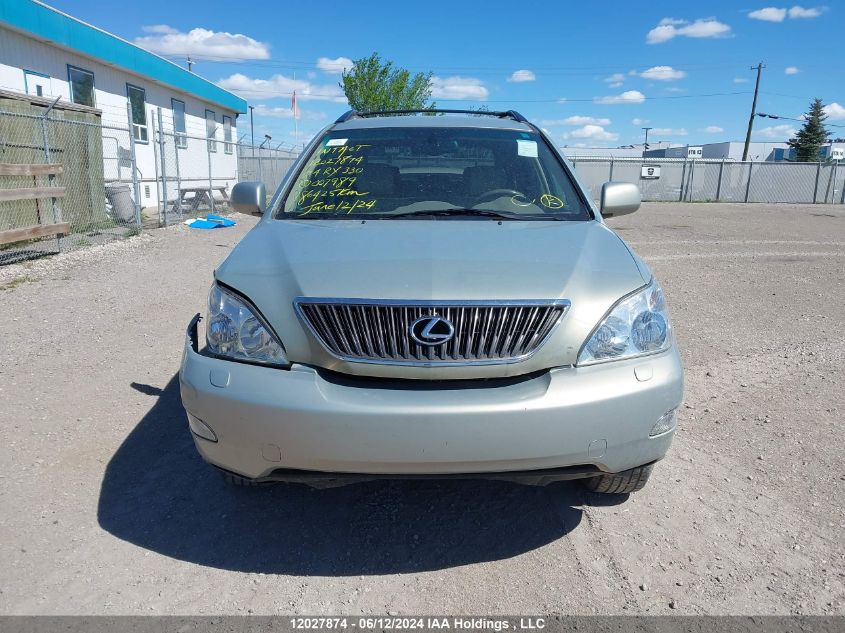 2004 Lexus Rx 330 VIN: JTJHA31U440007989 Lot: 12027874