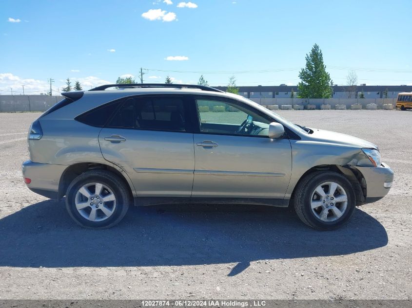 2004 Lexus Rx 330 VIN: JTJHA31U440007989 Lot: 12027874