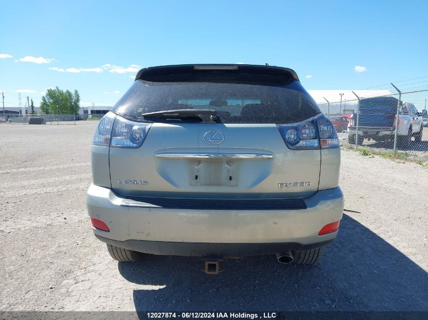 2004 Lexus Rx 330 VIN: JTJHA31U440007989 Lot: 12027874