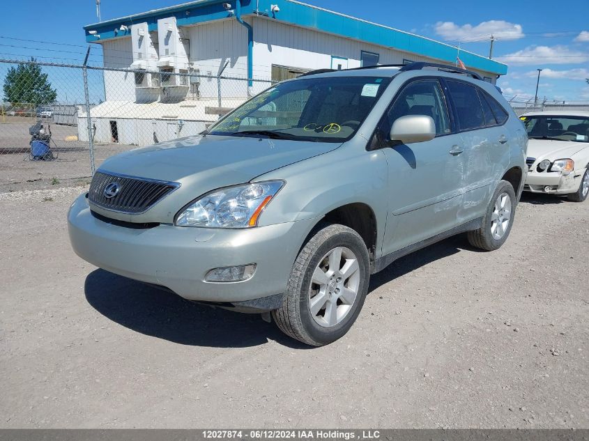 2004 Lexus Rx 330 VIN: JTJHA31U440007989 Lot: 12027874