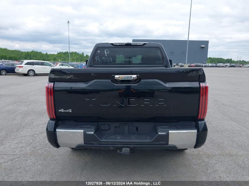 2022 Toyota Tundra Crewmax Platinum/Crewmax 1794 VIN: 5TFMA5DB8NX017974 Lot: 12027926