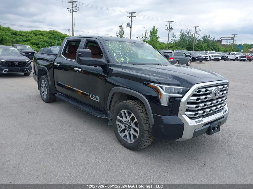 2022 Toyota Tundra Crewmax Platinum/Crewmax 1794 VIN: 5TFMA5DB8NX017974 Lot: 12027926