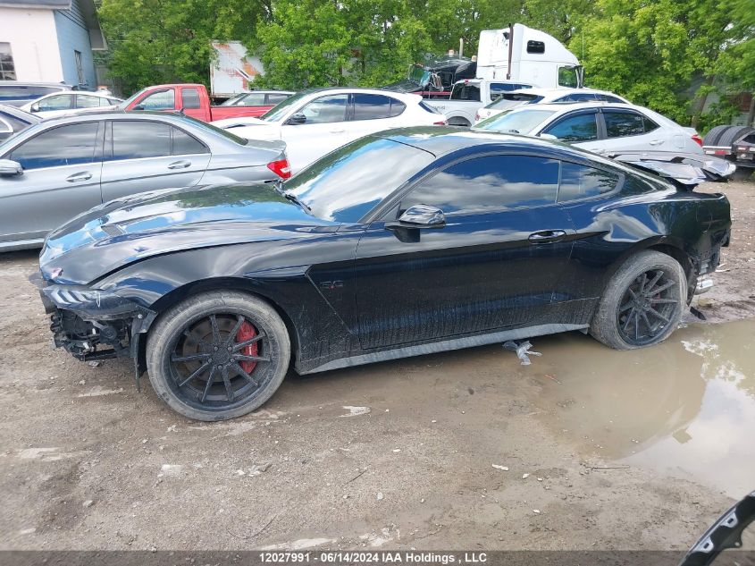 2018 Ford Mustang Gt VIN: 1FA6P8CF3J5141501 Lot: 12027991