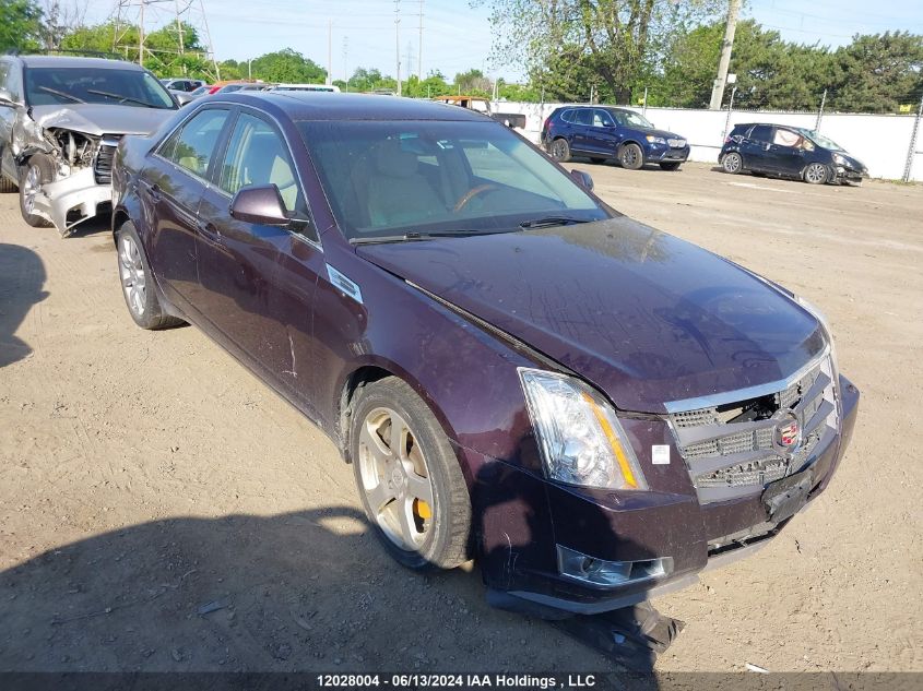 2008 Cadillac Cts Standard VIN: 1G6DV57V080131249 Lot: 12028004