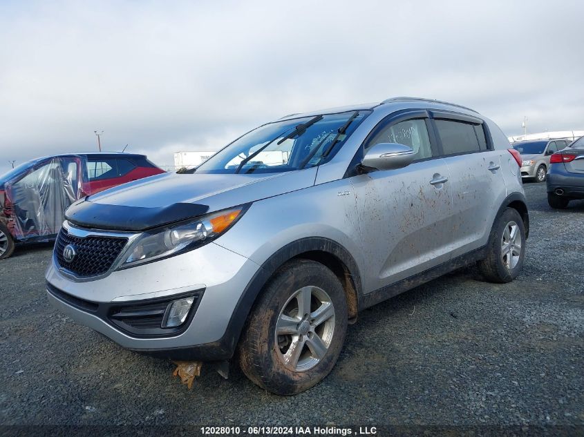 2015 Kia Sportage Lx VIN: KNDPBCAC5F7742252 Lot: 12028010