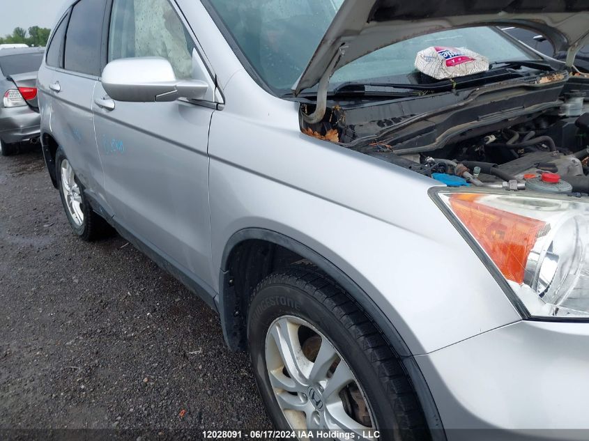 2010 Honda Cr-V VIN: 5J6RE3H5XAL802429 Lot: 12028091