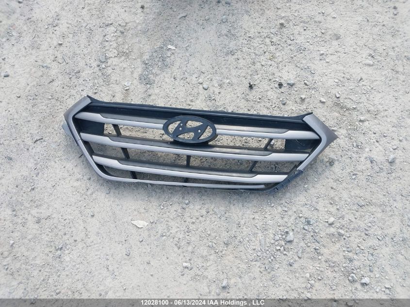 2016 Hyundai Tucson Premium 1.6 VIN: KM8J3CA22GU020990 Lot: 12028100