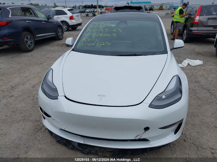 2023 Tesla Model 3 VIN: 5YJ3E1EA1PF436003 Lot: 12028103