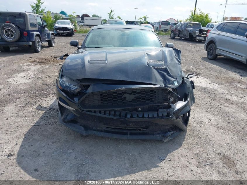2019 Ford Mustang Ecoboost VIN: 1FA6P8TH4K5102581 Lot: 12028106