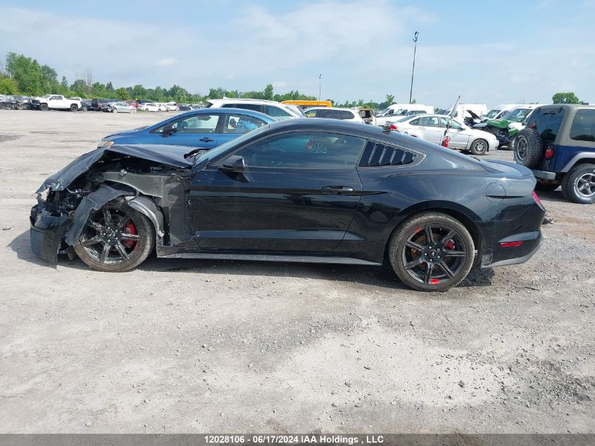 2019 Ford Mustang Ecoboost VIN: 1FA6P8TH4K5102581 Lot: 12028106