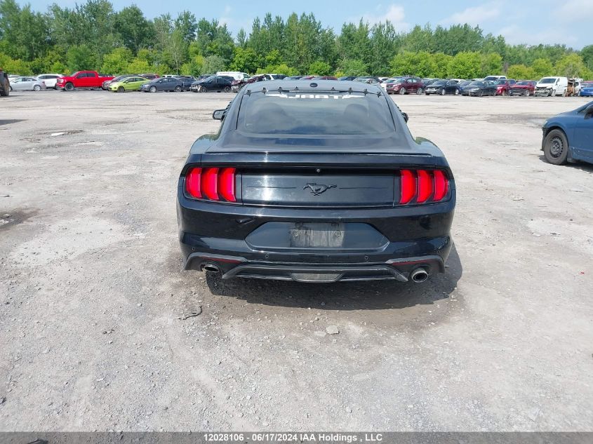 2019 Ford Mustang Ecoboost VIN: 1FA6P8TH4K5102581 Lot: 12028106