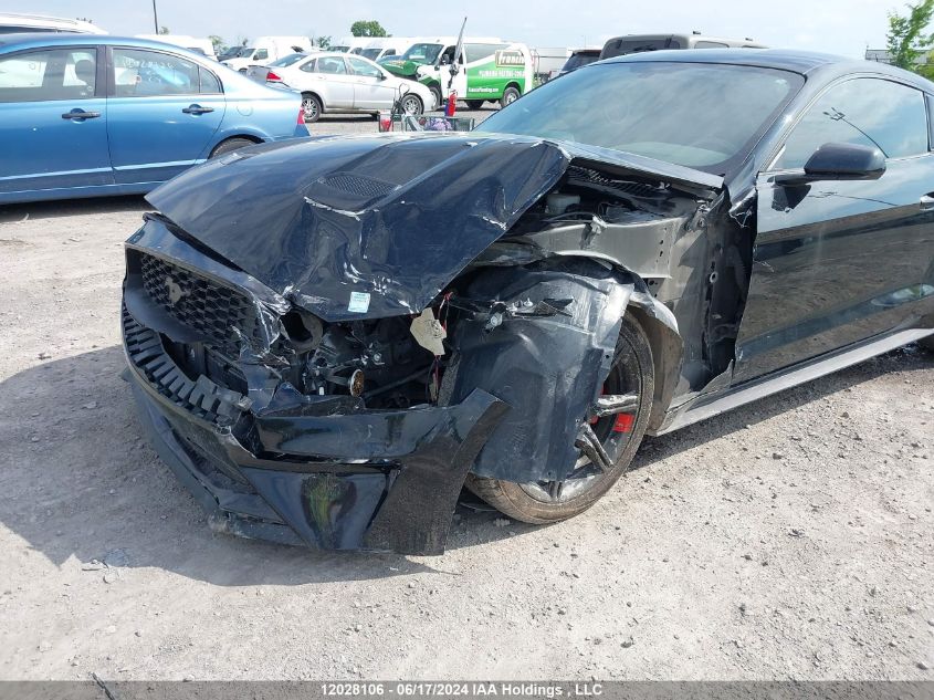 2019 Ford Mustang Ecoboost VIN: 1FA6P8TH4K5102581 Lot: 12028106