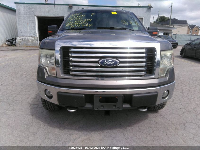 2011 Ford F-150 VIN: 1FTFX1EF4BFA89399 Lot: 12028121