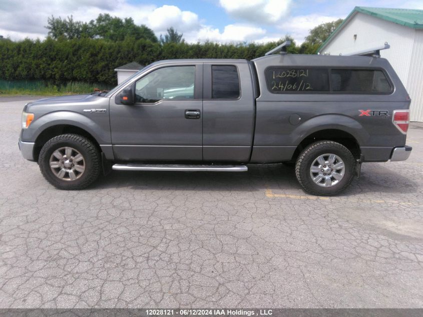 2011 Ford F-150 VIN: 1FTFX1EF4BFA89399 Lot: 12028121