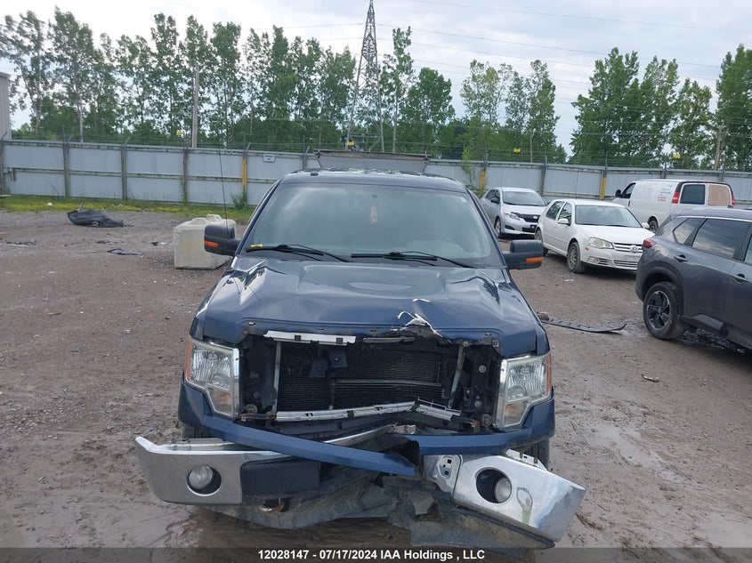 2013 Ford F-150 VIN: 1FTFW1EF8DKD97902 Lot: 12028147