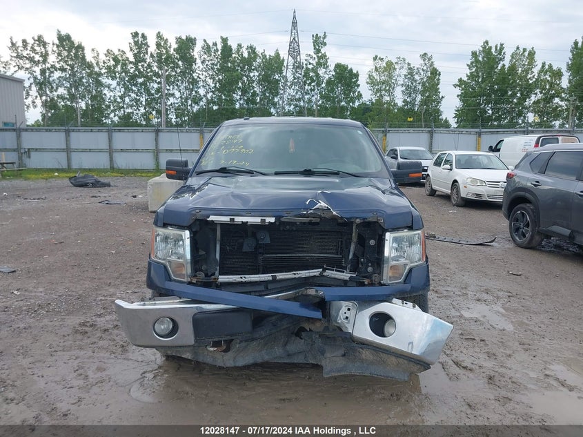 2013 Ford F-150 VIN: 1FTFW1EF8DKD97902 Lot: 12028147